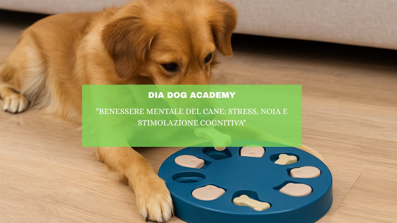 “Benessere Mentale del Cane: Stress, Noia e Stimolazione Cognitiva”