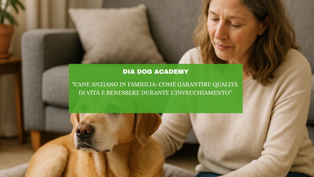 “Cane Anziano in Famiglia: Come Garantire Qualità di Vita e Benessere Durante l’Invecchiamento”