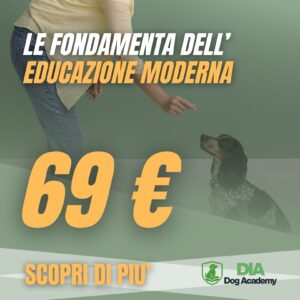 Le fondamenta dell’educazione moderna