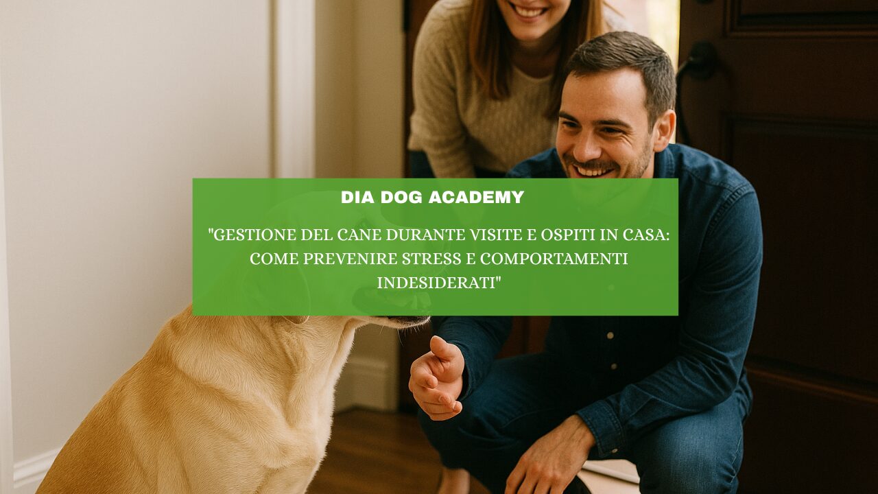 “Gestione del Cane Durante Visite e Ospiti in Casa: Come Prevenire Stress e Comportamenti Indesiderati”