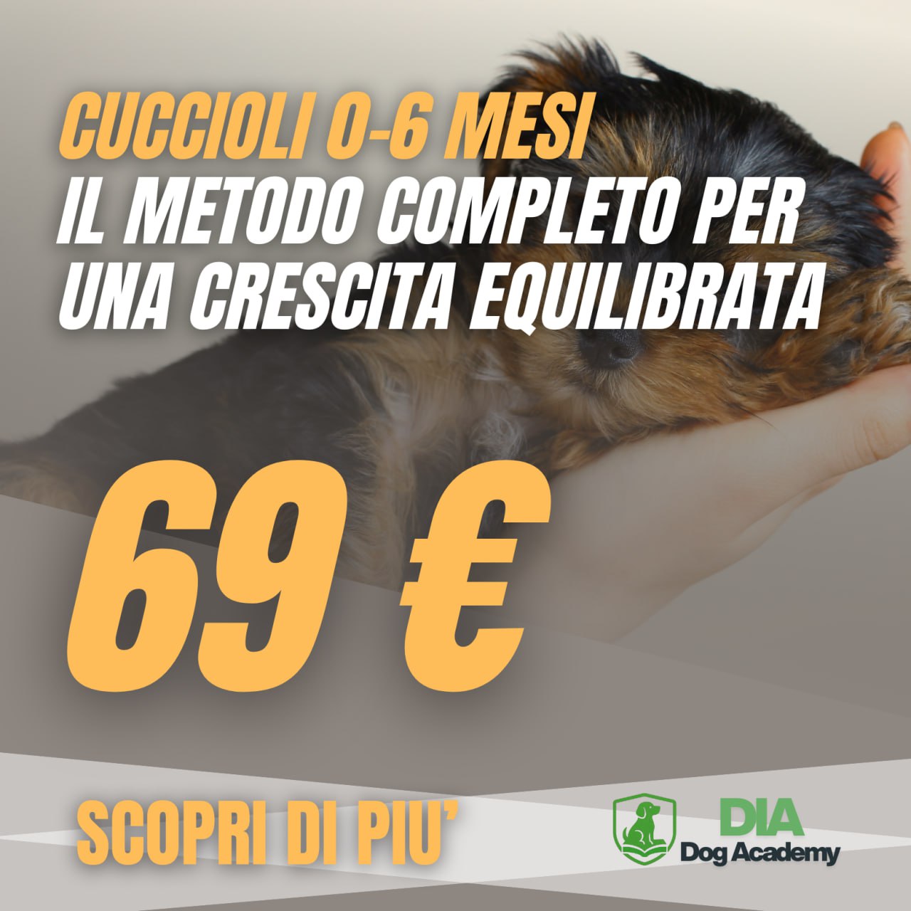“Cuccioli 0-6 Mesi: Il Metodo Completo per una Crescita Equilibrata”