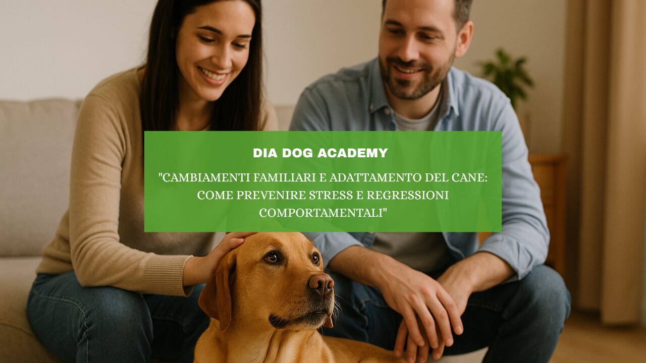“Cambiamenti Familiari e Adattamento del Cane: Come Prevenire Stress e Regressioni Comportamentali”