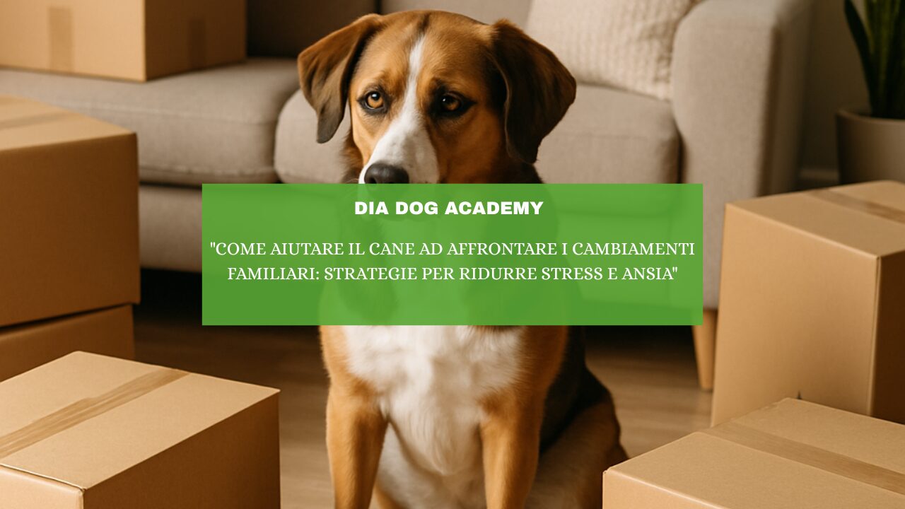 “Come Aiutare il Cane ad Affrontare i Cambiamenti Familiari: Strategie per Ridurre Stress e Ansia”