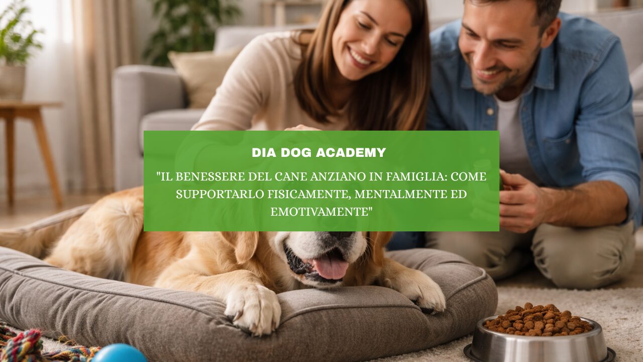 “Il Benessere del Cane Anziano in Famiglia: Come Supportarlo Fisicamente, Mentalmente ed Emotivamente”