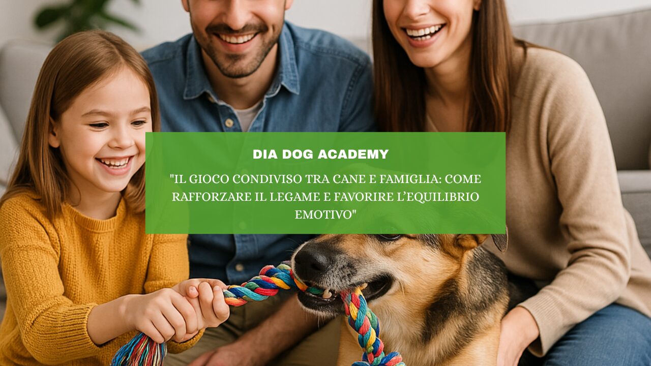 “Il Gioco Condiviso tra Cane e Famiglia: Come Rafforzare il Legame e Favorire l’Equilibrio Emotivo”