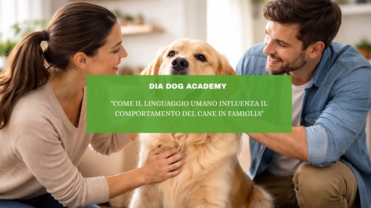 “Come il Linguaggio Umano Influenza il Comportamento del Cane in Famiglia”