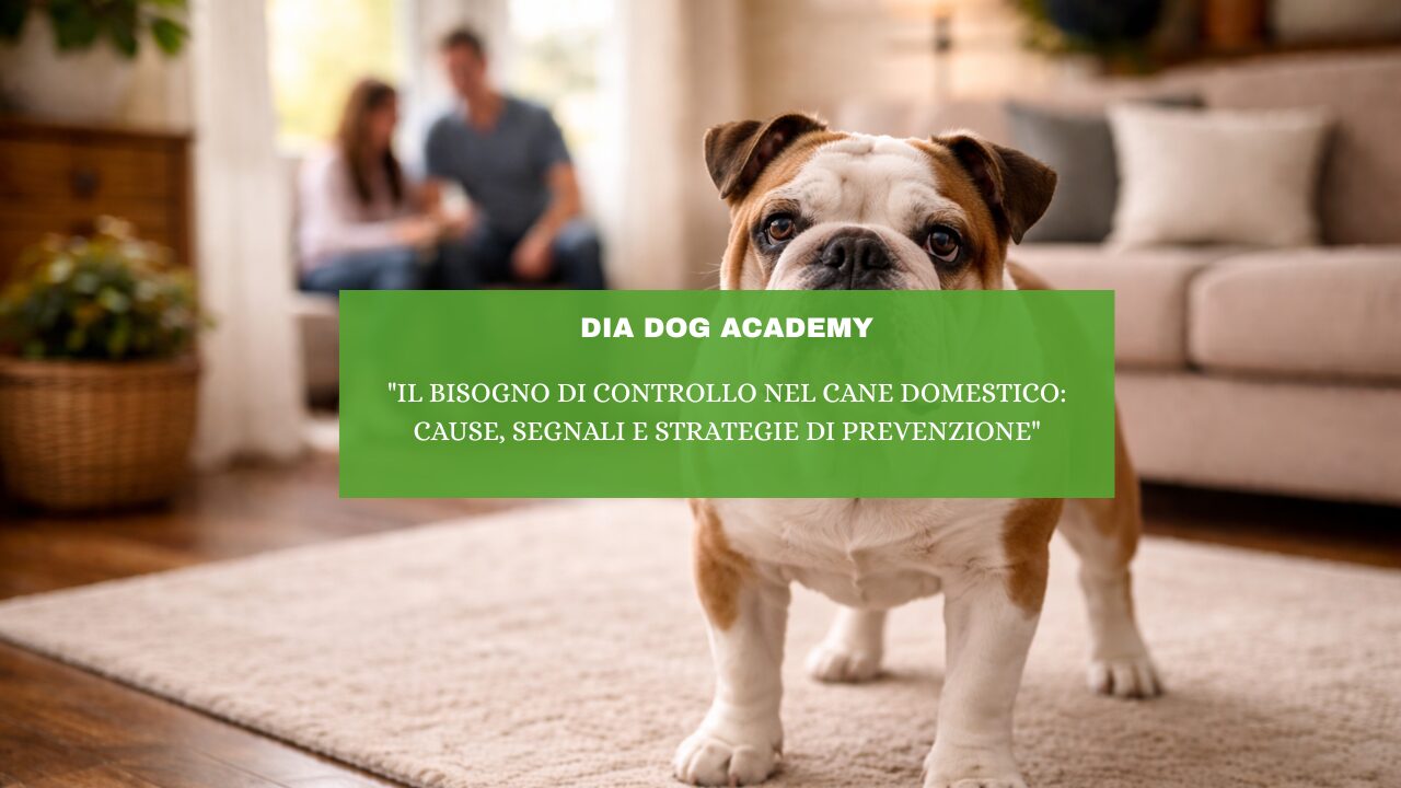 “Il Bisogno di Controllo nel Cane Domestico: Cause, Segnali e Strategie di Prevenzione”