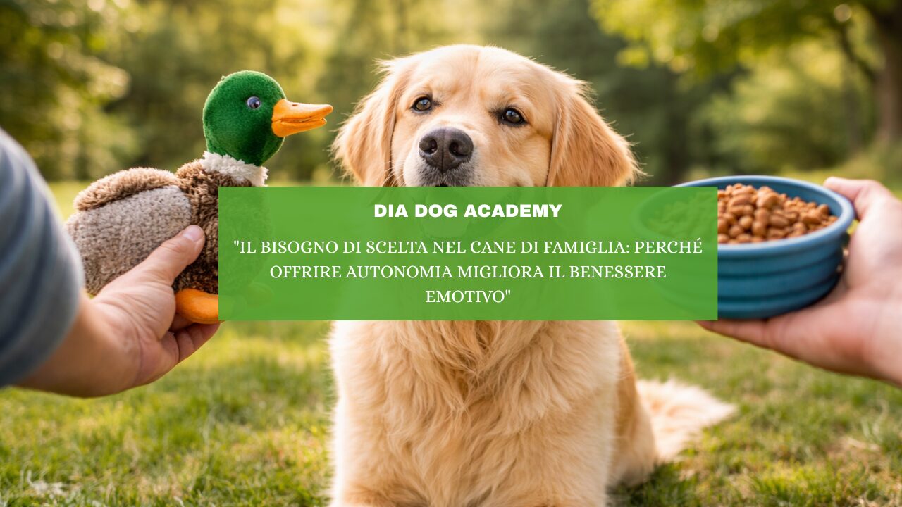 “Il Bisogno di Scelta nel Cane di Famiglia: Perché Offrire Autonomia Migliora il Benessere Emotivo”