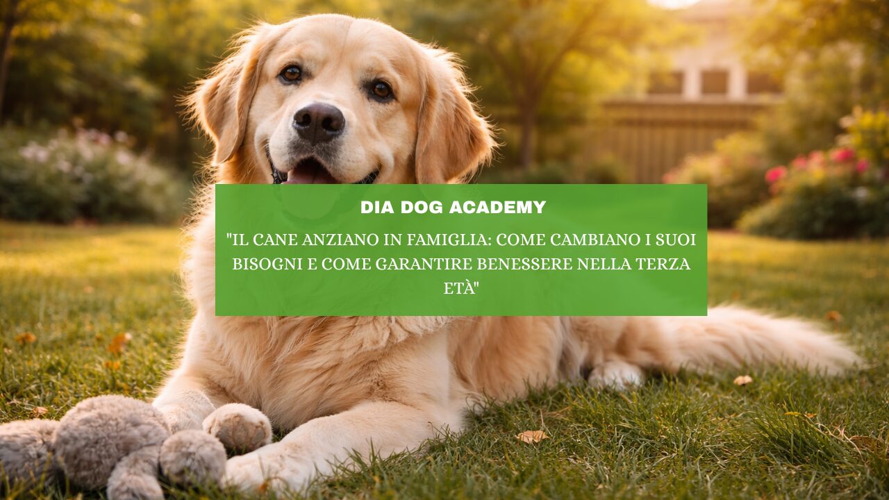 “Il Cane Anziano in Famiglia: Come Cambiano i Suoi Bisogni e Come Garantire Benessere nella Terza Età ”