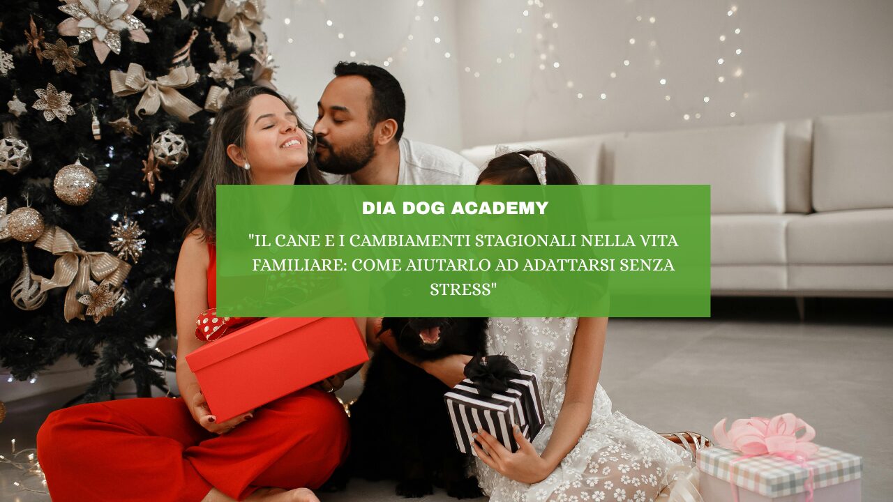“Il Cane e i Cambiamenti Stagionali nella Vita Familiare: Come Aiutarlo ad Adattarsi senza Stress”