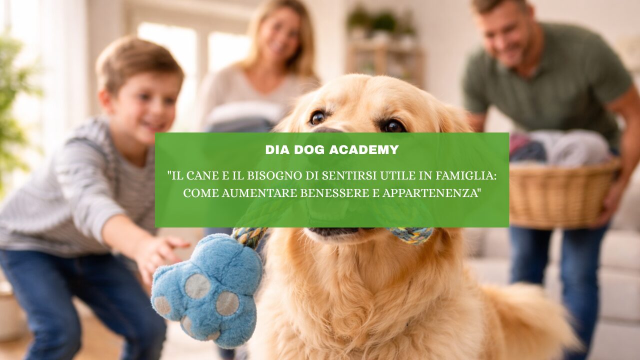 “Il Cane e il Bisogno di Sentirsi Utile in Famiglia: Come Aumentare Benessere e Appartenenza”