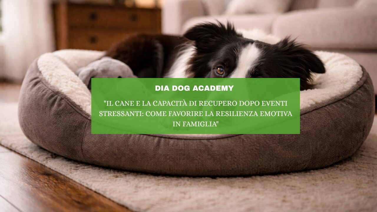 “Il Cane e la Capacità di Recupero Dopo Eventi Stressanti: Come Favorire la Resilienza Emotiva in Famiglia”