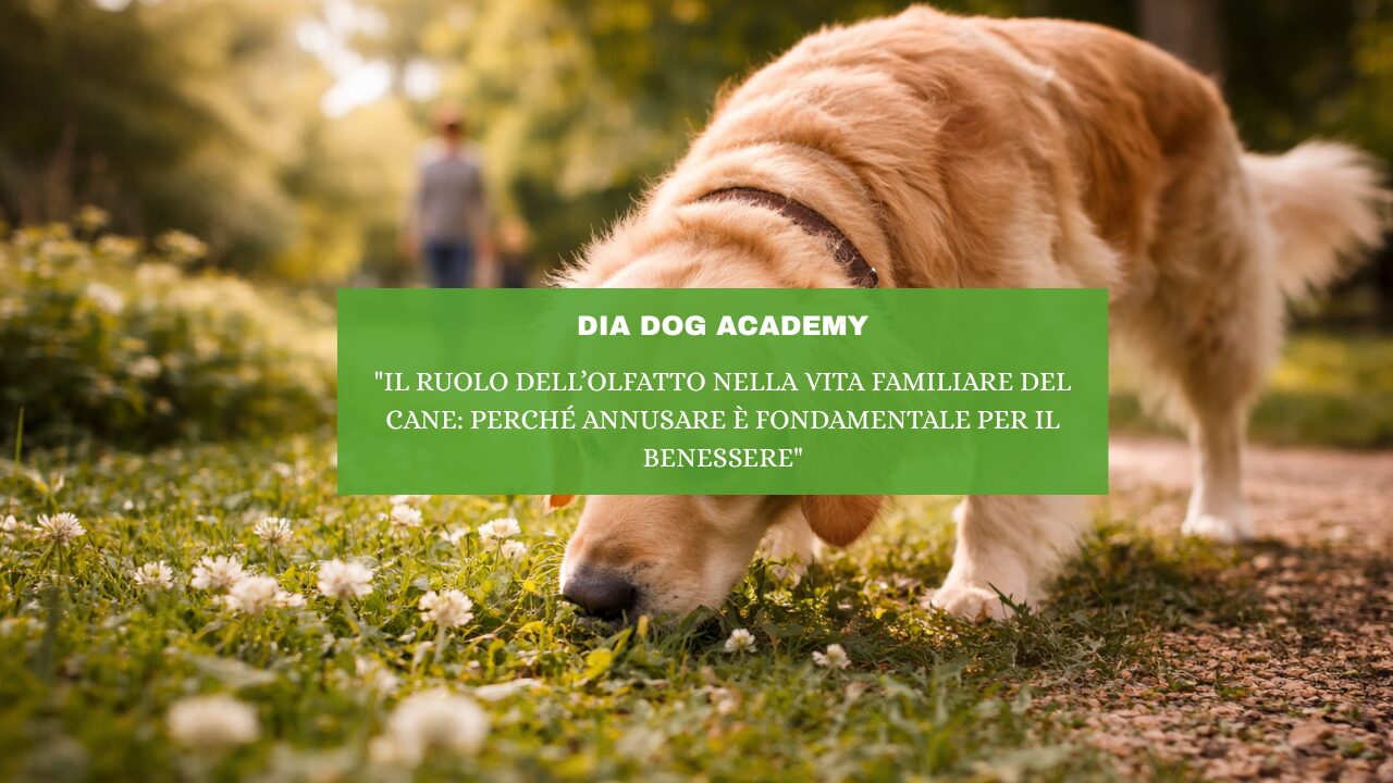 “Il Ruolo dell’Olfatto nella Vita Familiare del Cane: Perché Annusare È Fondamentale per il Benessere”