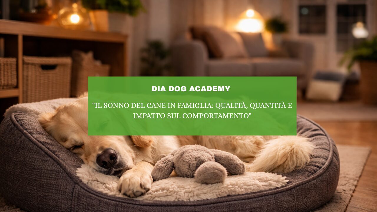 “Il Sonno del Cane in Famiglia: Qualità , Quantità e Impatto sul Comportamento”