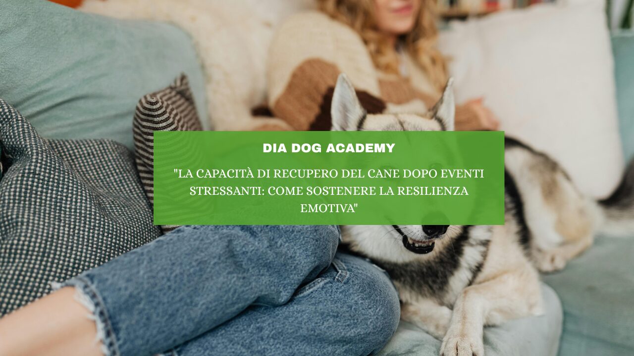 “La Capacità di Recupero del Cane Dopo Eventi Stressanti: Come Sostenere la Resilienza Emotiva”