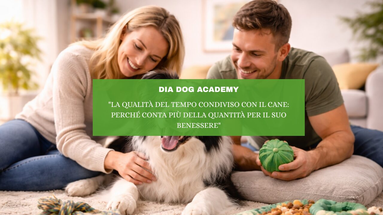 “La Qualità del Tempo Condiviso con il Cane: Perché Conta Più della Quantità per il Suo Benessere”