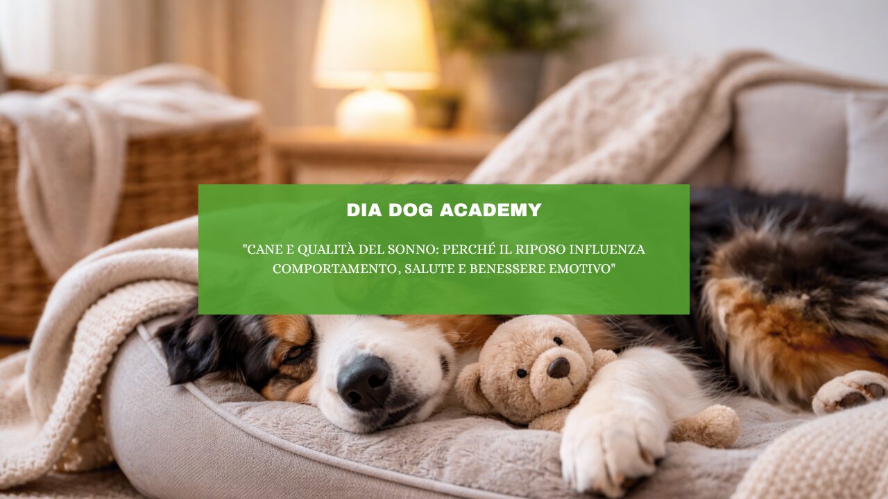 “Cane e Qualità del Sonno: Perché il Riposo Influenza Comportamento, Salute e Benessere Emotivo”