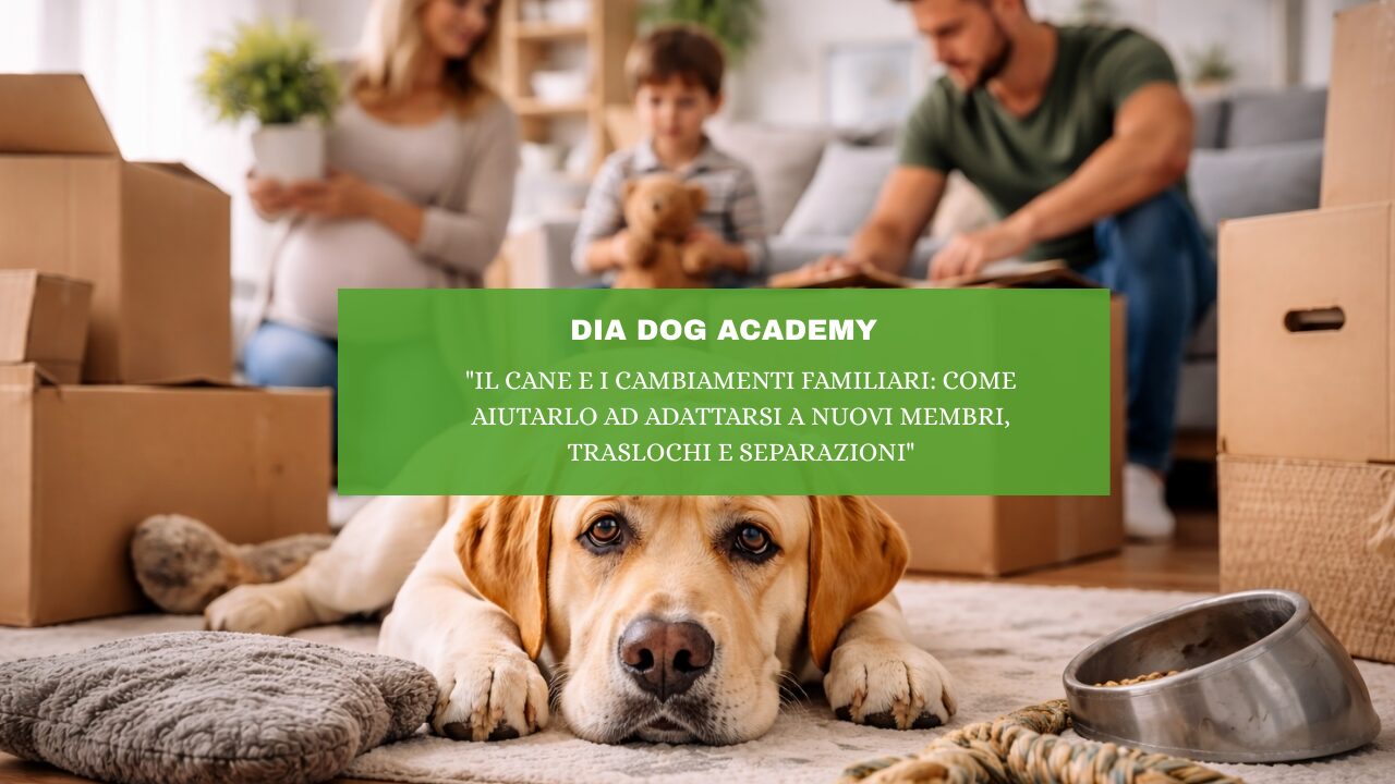 “Il Cane e i Cambiamenti Familiari: Come Aiutarlo ad Adattarsi a Nuovi Membri, Traslochi e Separazioni”