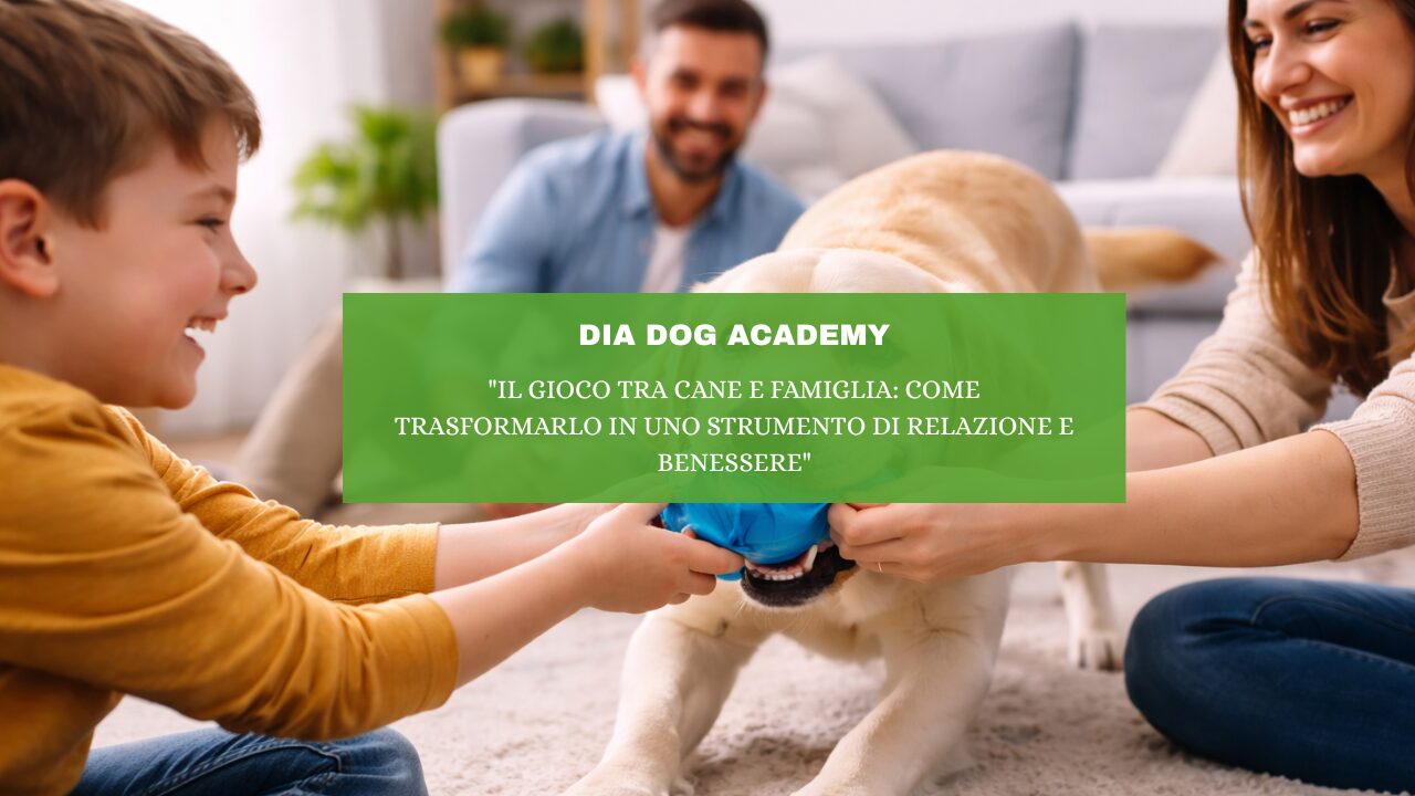 “Il Gioco tra Cane e Famiglia: Come Trasformarlo in uno Strumento di Relazione e Benessere”