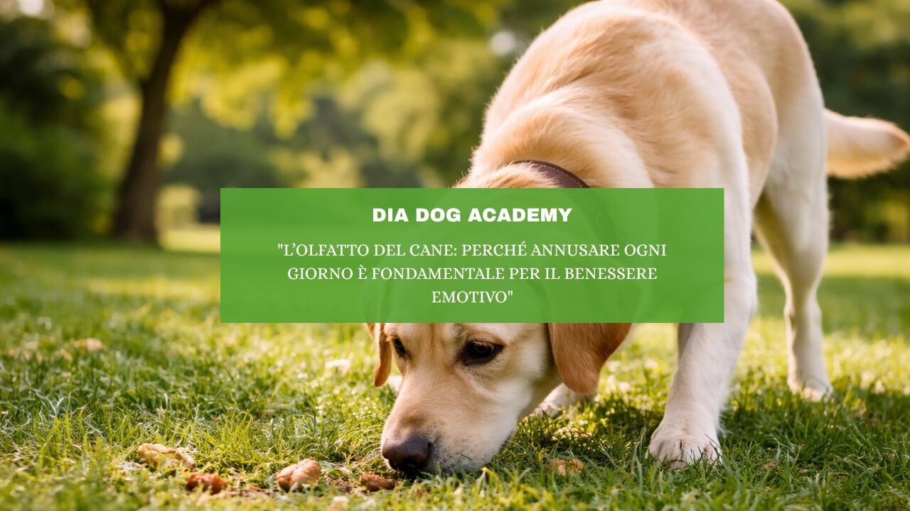 “L’Olfatto del Cane: Perché Annusare Ogni Giorno è Fondamentale per il Benessere Emotivo”