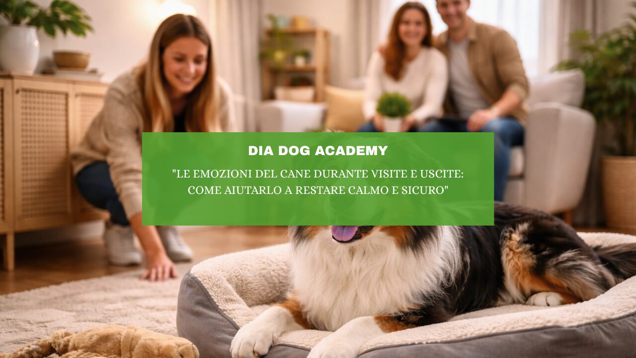 “Le Emozioni del Cane Durante Visite e Uscite: Come Aiutarlo a Restare Calmo e Sicuro”