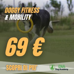 Corso Doggy Fitness & Mobility