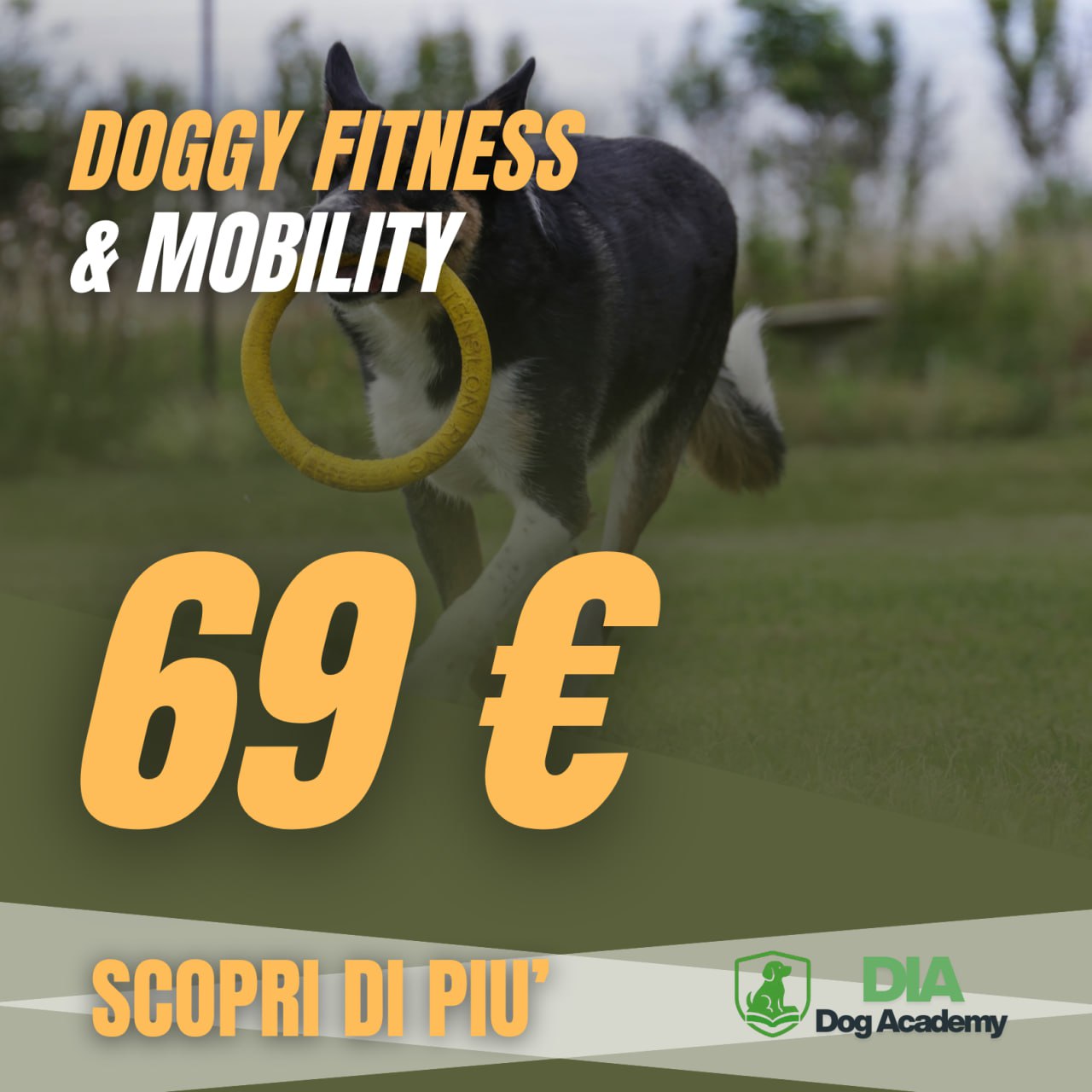 Corso Doggy Fitness & Mobility
