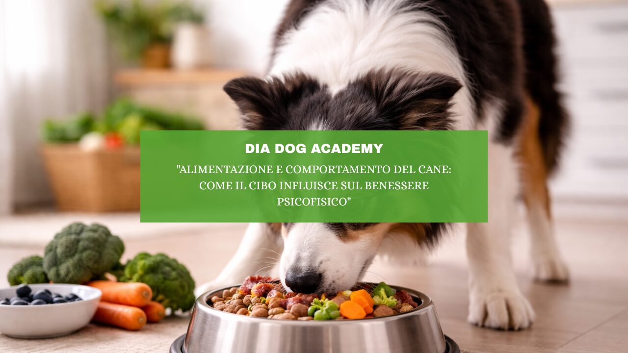 “Alimentazione e comportamento del cane: come il cibo influisce sul benessere psicofisico”