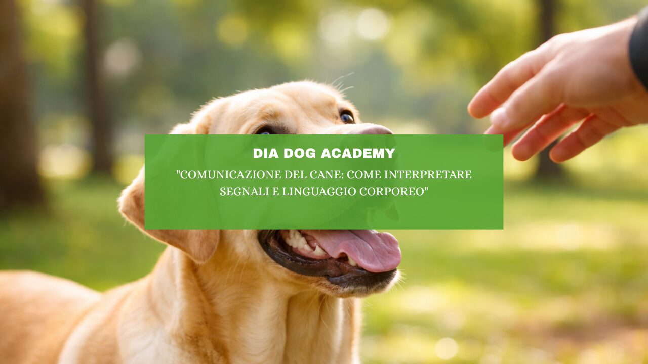 “Comunicazione del cane: come interpretare segnali e linguaggio corporeo”