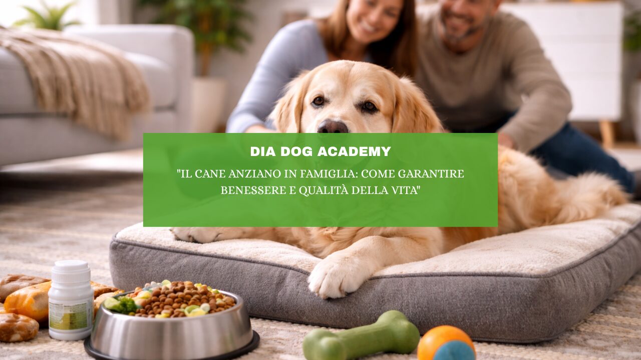 “Il cane anziano in famiglia: come garantire benessere e qualità della vita”