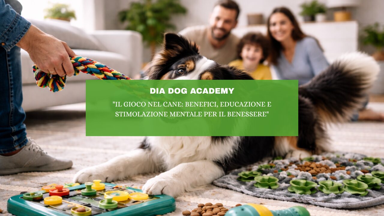 “Il gioco nel cane: benefici, educazione e stimolazione mentale per il benessere”