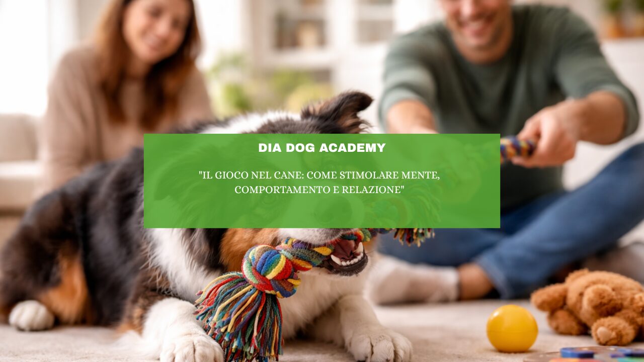 “Il gioco nel cane: come stimolare mente, comportamento e relazione”