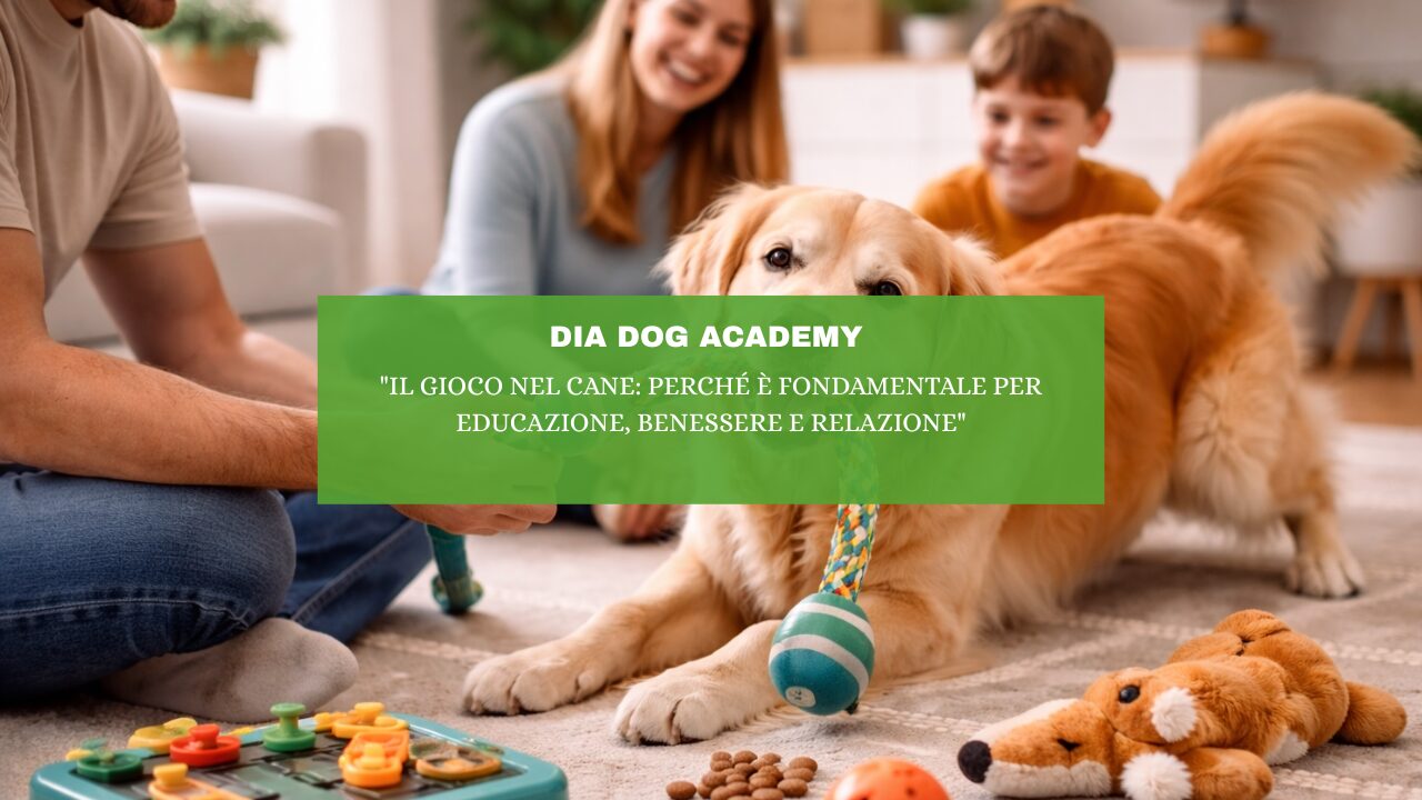 “Il gioco nel cane: perché è fondamentale per educazione, benessere e relazione”