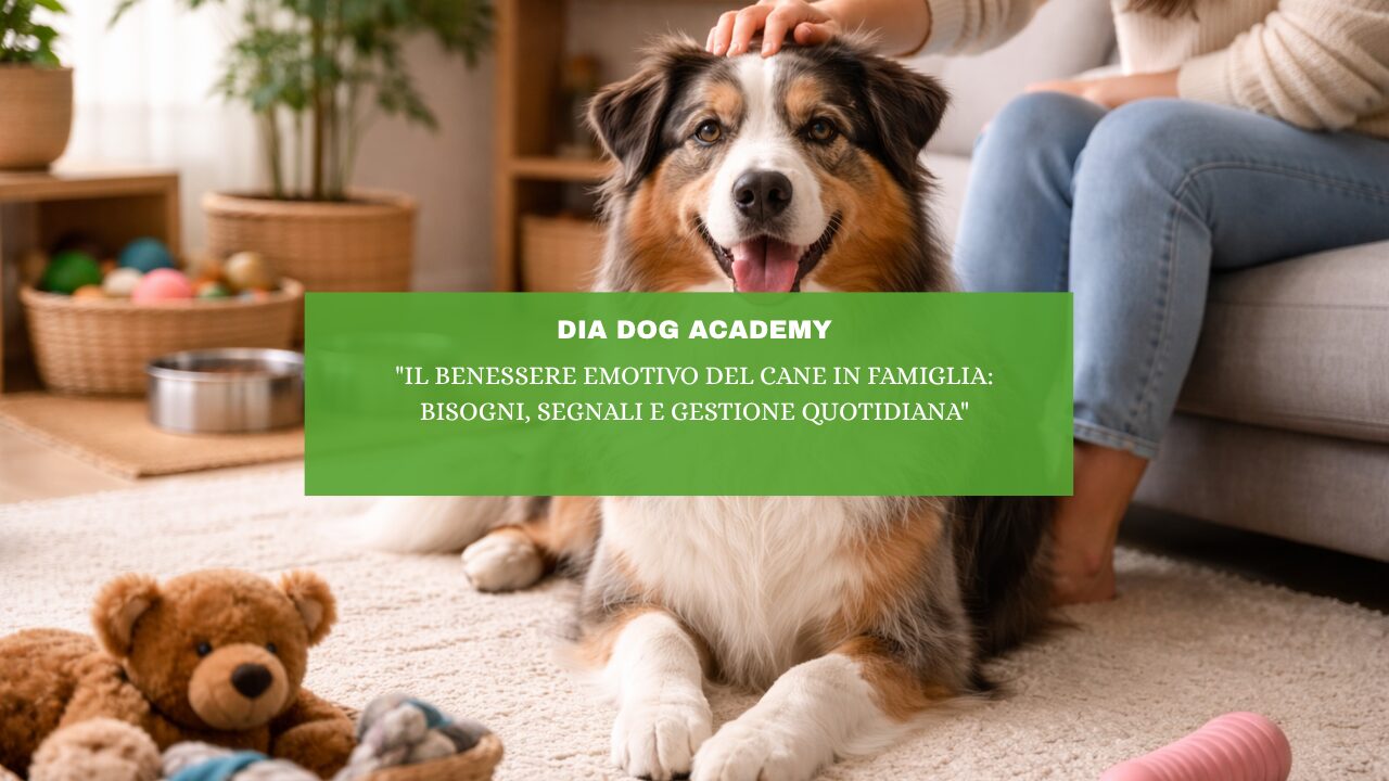 “Il benessere emotivo del cane in famiglia: bisogni, segnali e gestione quotidiana”