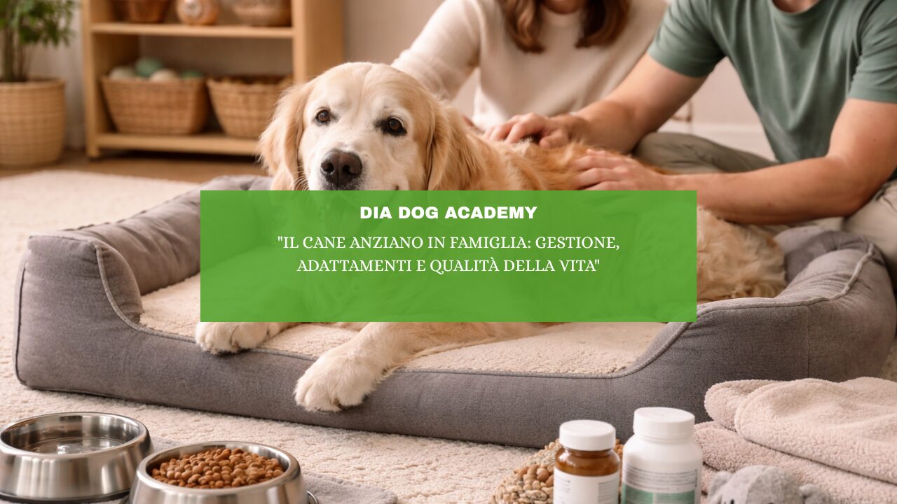 “Il cane anziano in famiglia: gestione, adattamenti e qualità della vita”