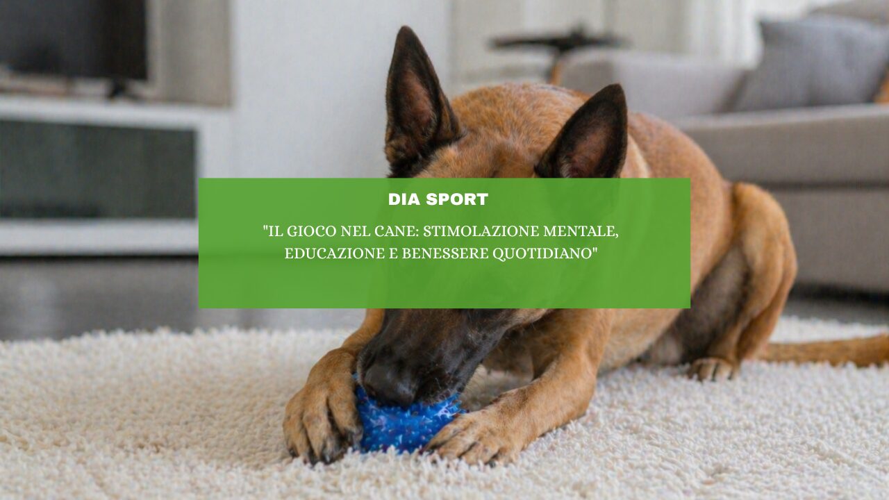 “Il gioco nel cane: stimolazione mentale, educazione e benessere quotidiano”