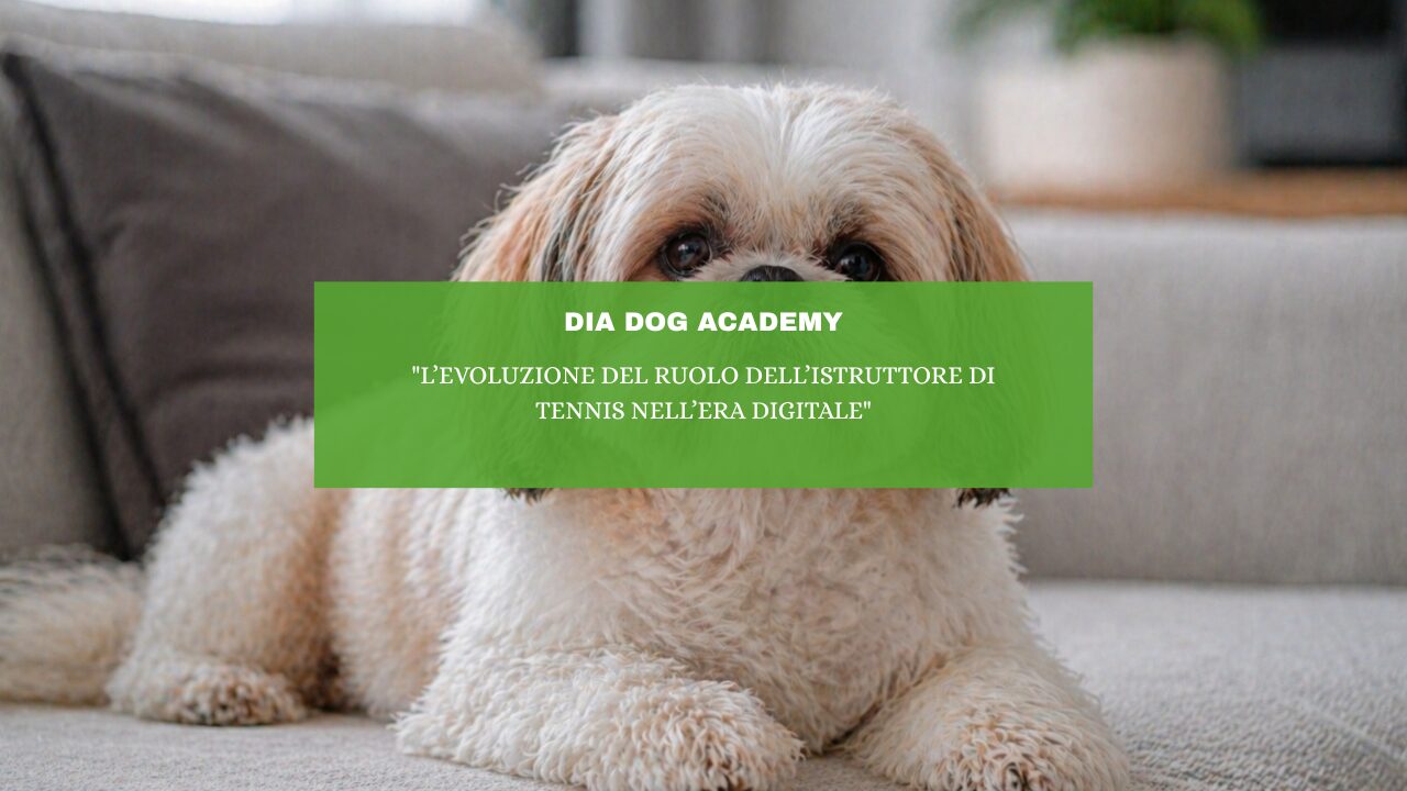 “Prevenzione e salute del cane: strategie efficaci per una vita lunga e sana”