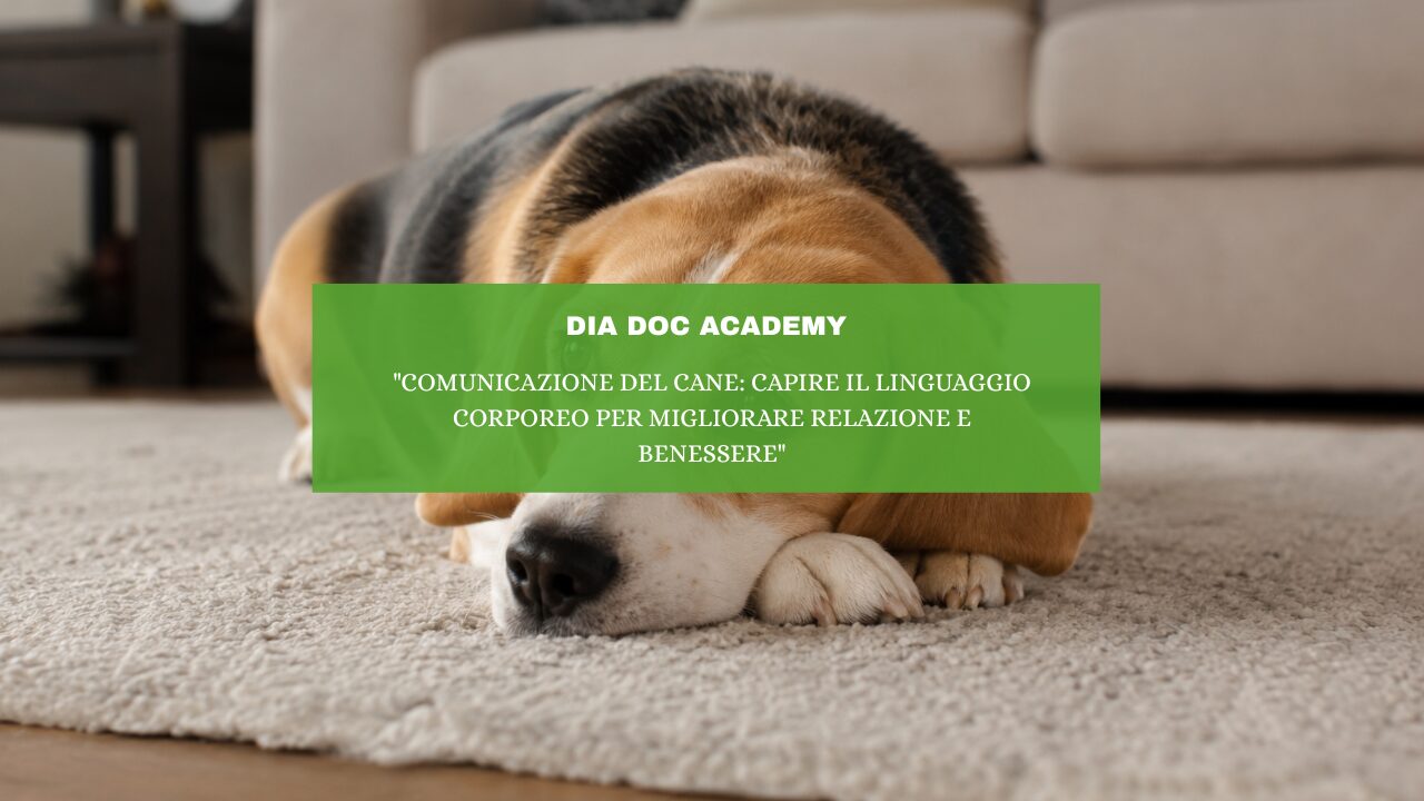 “Comunicazione del cane: capire il linguaggio corporeo per migliorare relazione e benessere”
