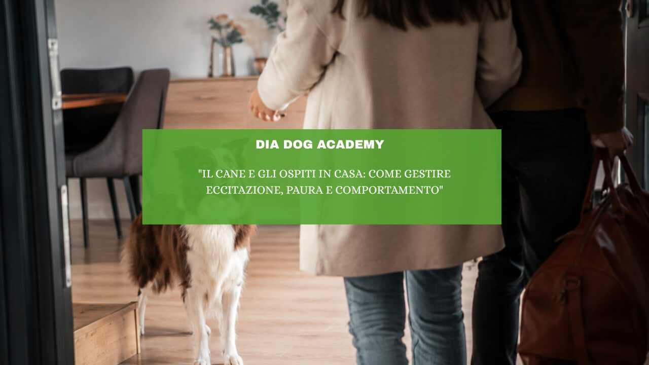 “Il cane e gli ospiti in casa: come gestire eccitazione, paura e comportamento”