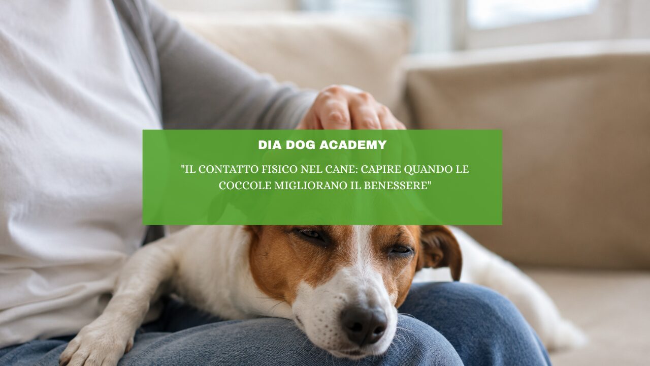“Il contatto fisico nel cane: capire quando le coccole migliorano il benessere”