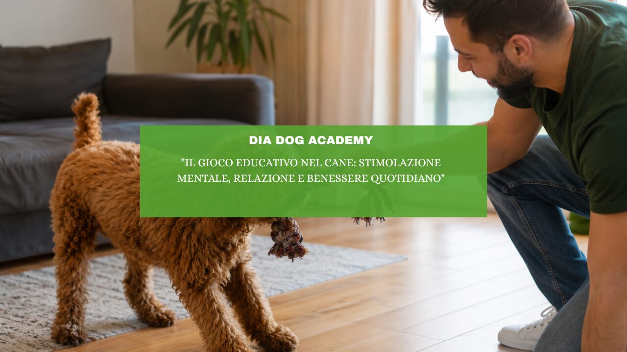 “Il gioco educativo nel cane: stimolazione mentale, relazione e benessere quotidiano”