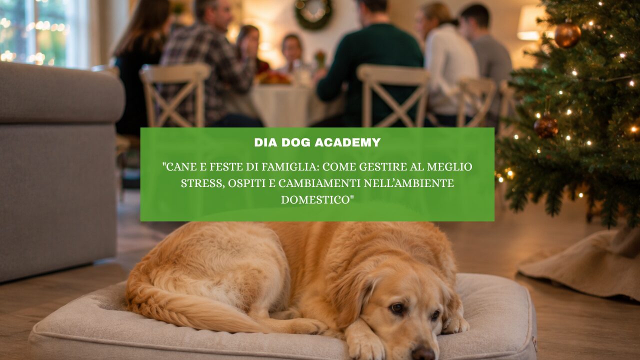 “Cane e feste di famiglia: come gestire al meglio stress, ospiti e cambiamenti nell’ambiente domestico”
