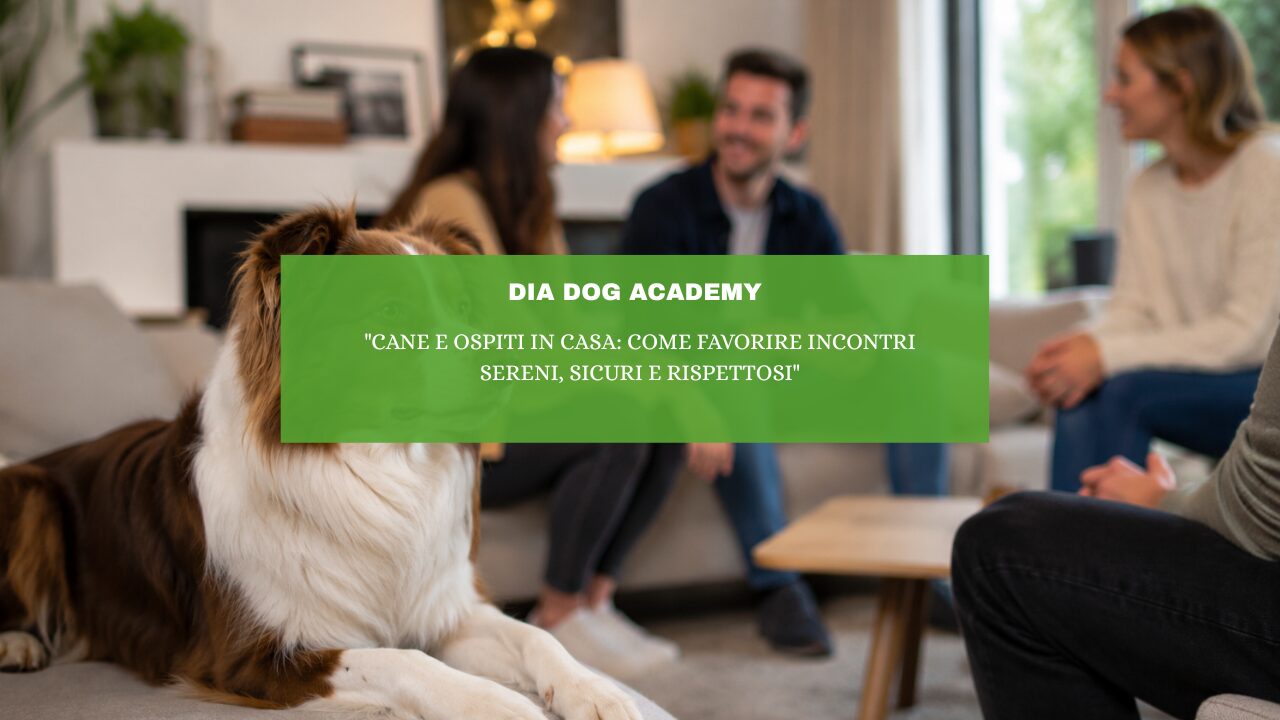 “Cane e ospiti in casa: come favorire incontri sereni, sicuri e rispettosi”