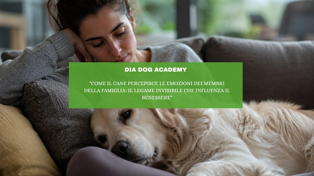 “Come il cane percepisce le emozioni dei membri della famiglia: il legame invisibile che influenza il benessere”