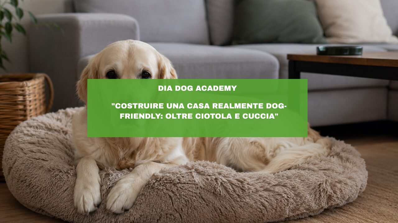 “Costruire una casa realmente dog-friendly: oltre ciotola e cuccia”