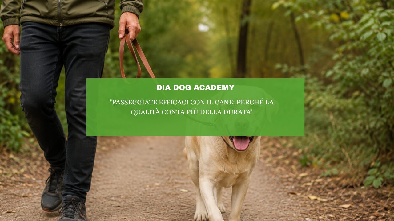 “Passeggiate efficaci con il cane: perché la qualità conta più della durata”