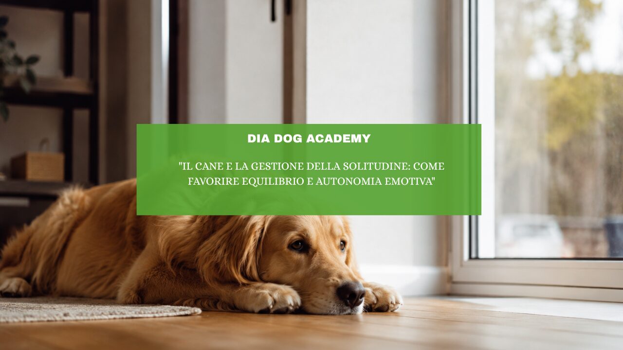 “Il cane e la gestione della solitudine: come favorire equilibrio e autonomia emotiva”