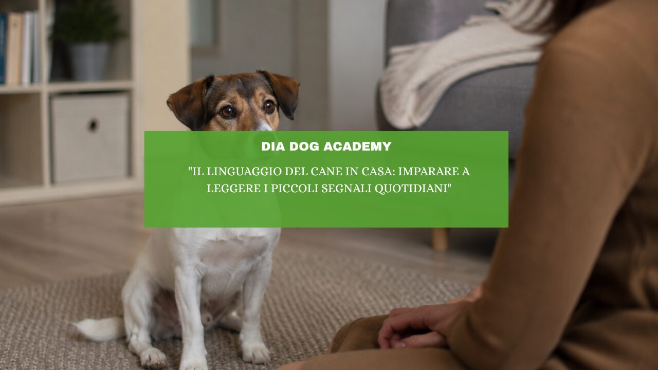 “Il linguaggio del cane in casa: imparare a leggere i piccoli segnali quotidiani”