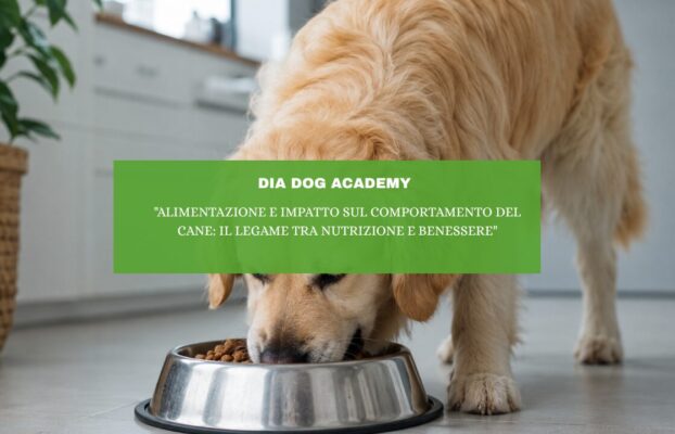 “Alimentazione e impatto sul comportamento del cane: il legame tra nutrizione e benessere”