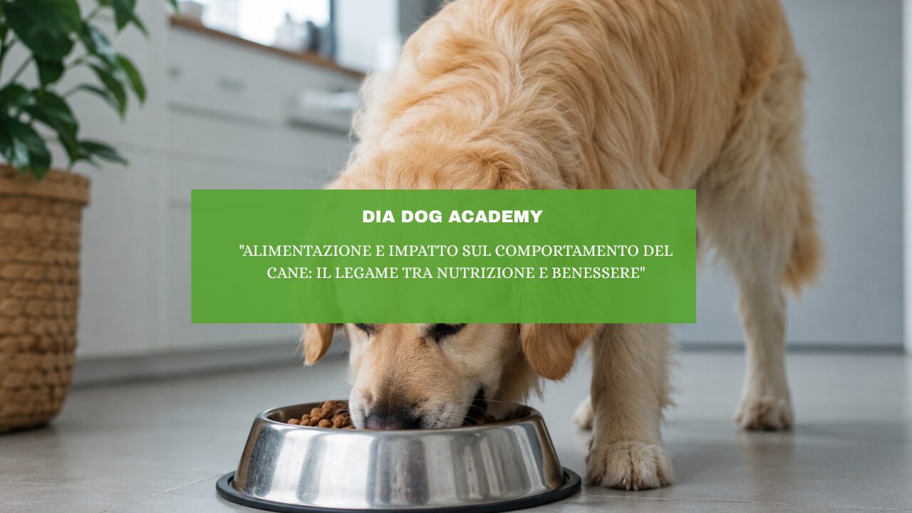 “Alimentazione e impatto sul comportamento del cane: il legame tra nutrizione e benessere”